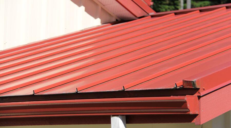 Professional gutter cleaning services in Irene, TX